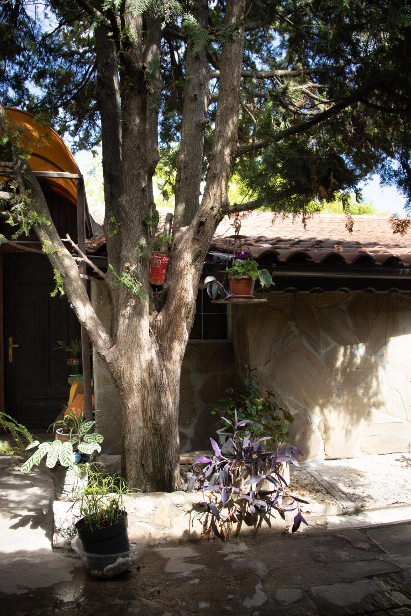 Старата Баkалия The Old Grocery, Guest Rooms Balchik Exterior photo